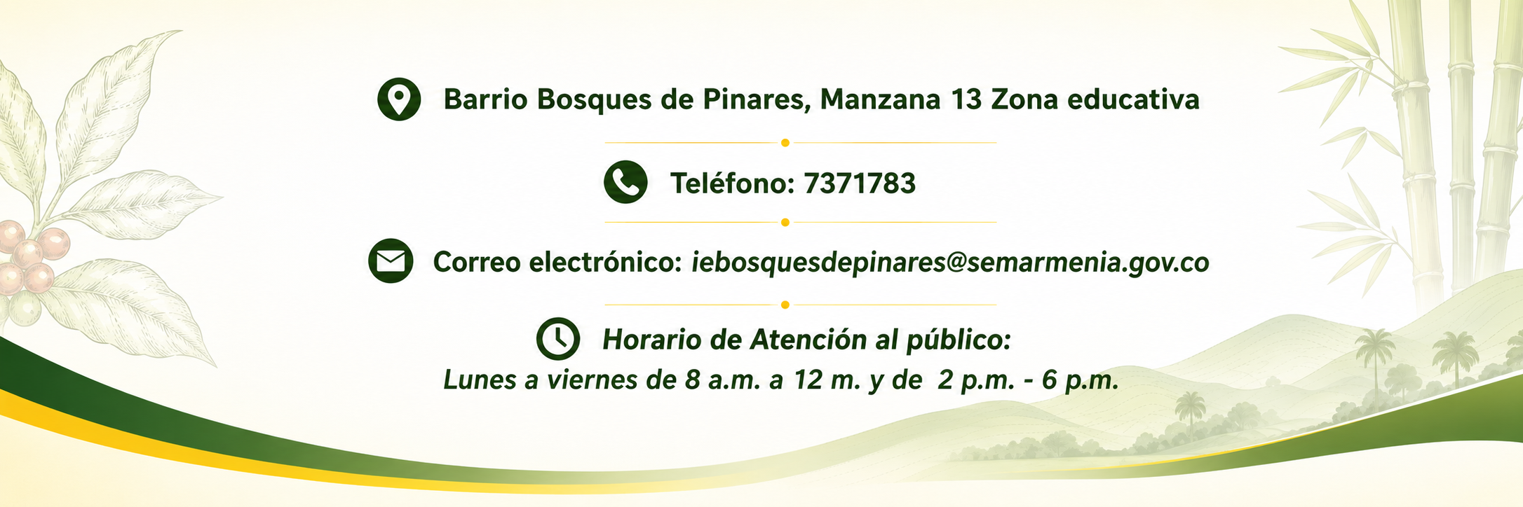Información de contacto de la Institución Educativa Bosques de Pinares
